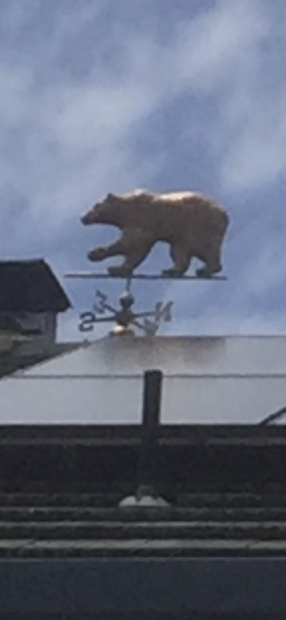 Cu bear
