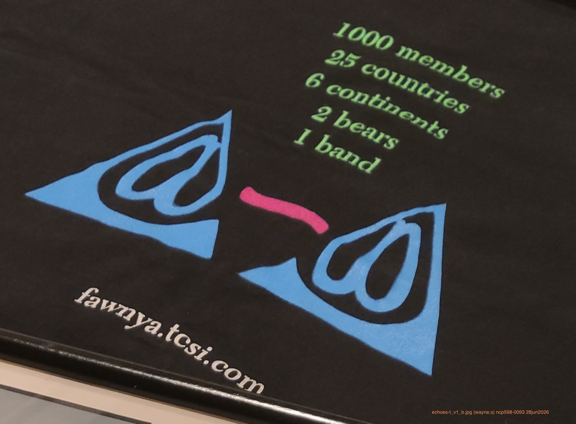 Original <em>echoes</em> T-Shirt Back